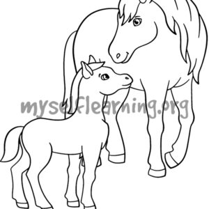 A pair of Horse Coloring Sheet | Instant Download
