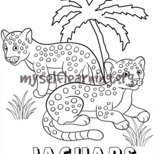 Jaguars Coloring Sheet | Instant Download