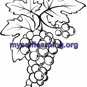Fruits Coloring Sheet 12 | Instant Download