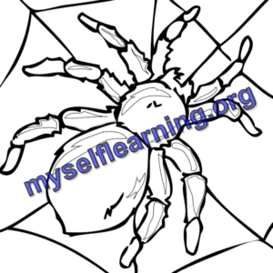 Insects Coloring Sheet 14 | Instant Download