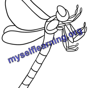 Insects Coloring Sheet 17 | Instant Download