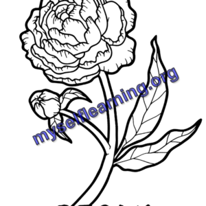 Flowers Coloring Sheet 18 | Instant Download