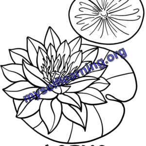 Flowers Coloring Sheet 21 | Instant Download