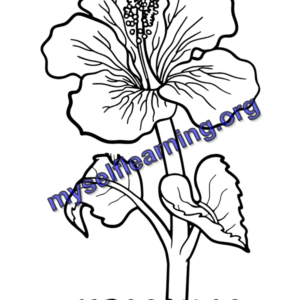 Flowers Coloring Sheet 24 | Instant Download