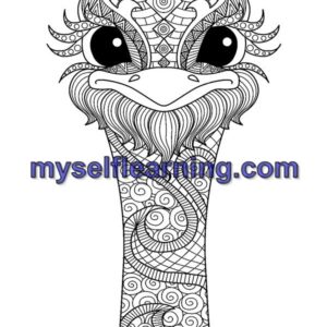 Relaxing Coloring Sheet for Adults 24 | Instant Download
