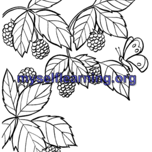 Fruits Coloring Sheet 27 | Instant Download