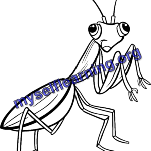 Insects Coloring Sheet 28 | Instant Download