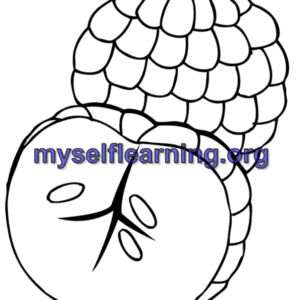 Fruits Coloring Sheet 33 | Instant Download