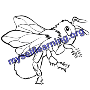 Insects Coloring Sheet 33 | Instant Download