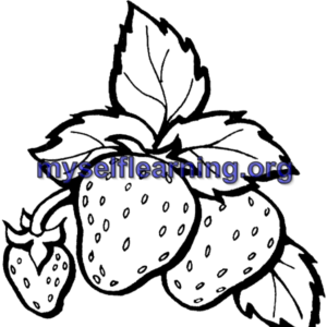 Fruits Coloring Sheet 36 | Instant Download
