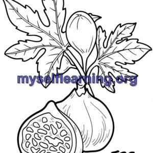 Fruits Coloring Sheet 39 | Instant Download