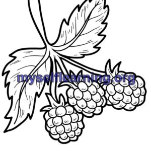 Fruits Coloring Sheet 3 | Instant Download